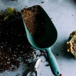 Gardening Tool Shovel Are No Longer: 7 Proven Reasons Your Old Spade Is Sabotaging Your Garden