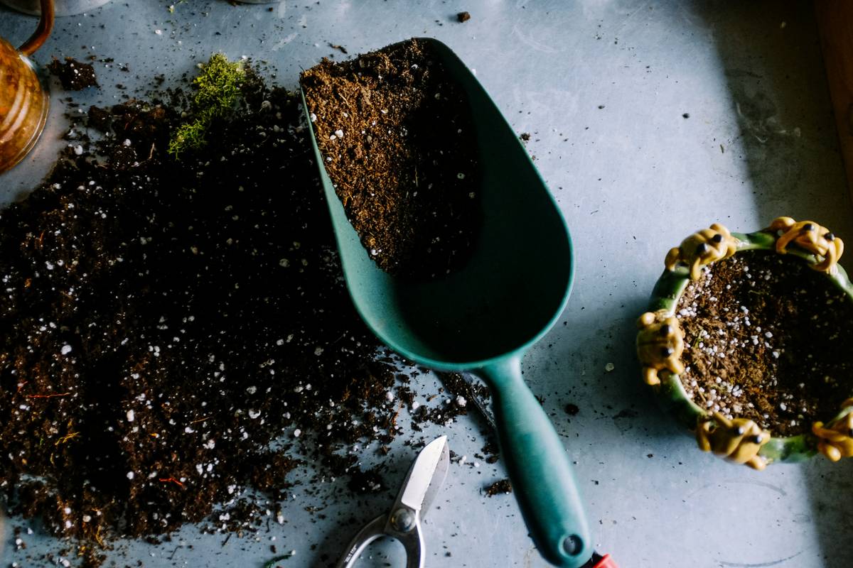 Gardening Tool Shovel Are No Longer: 7 Proven Reasons Your Old Spade Is Sabotaging Your Garden