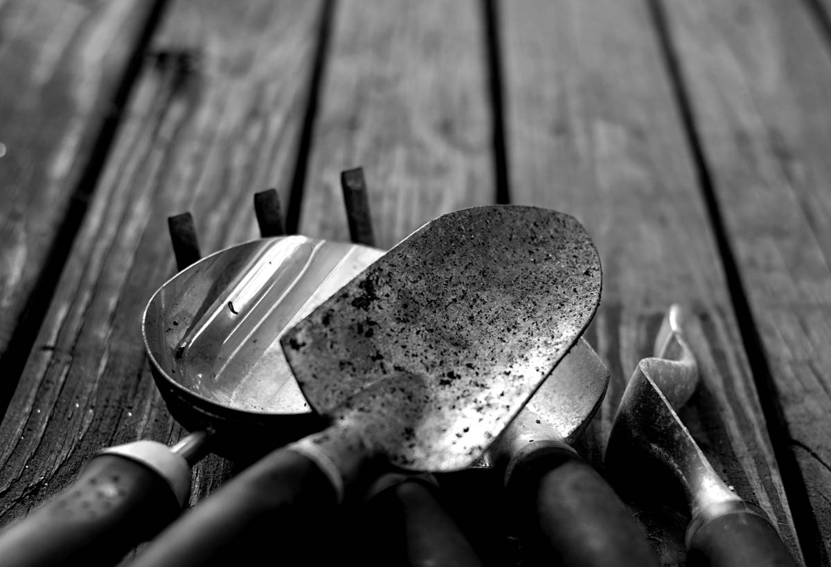 gardening tool shovel are no longer showing side-by-side comparison: vintage bent carbon-steel shovel vs. new forged stainless-steel shovel with ergonomic D-grip handle