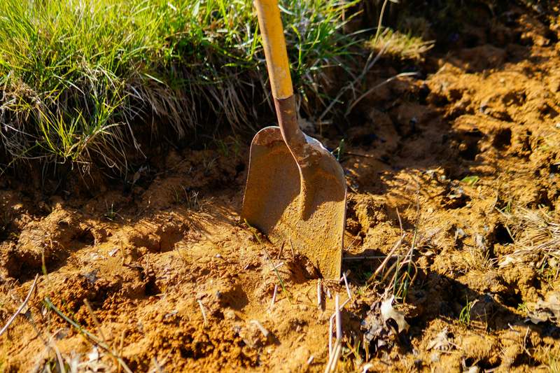 Hands testing three different shovel types—trowel, spade, and digging shovel—in a backyard garden setting
